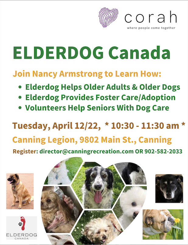Elderdog April 12